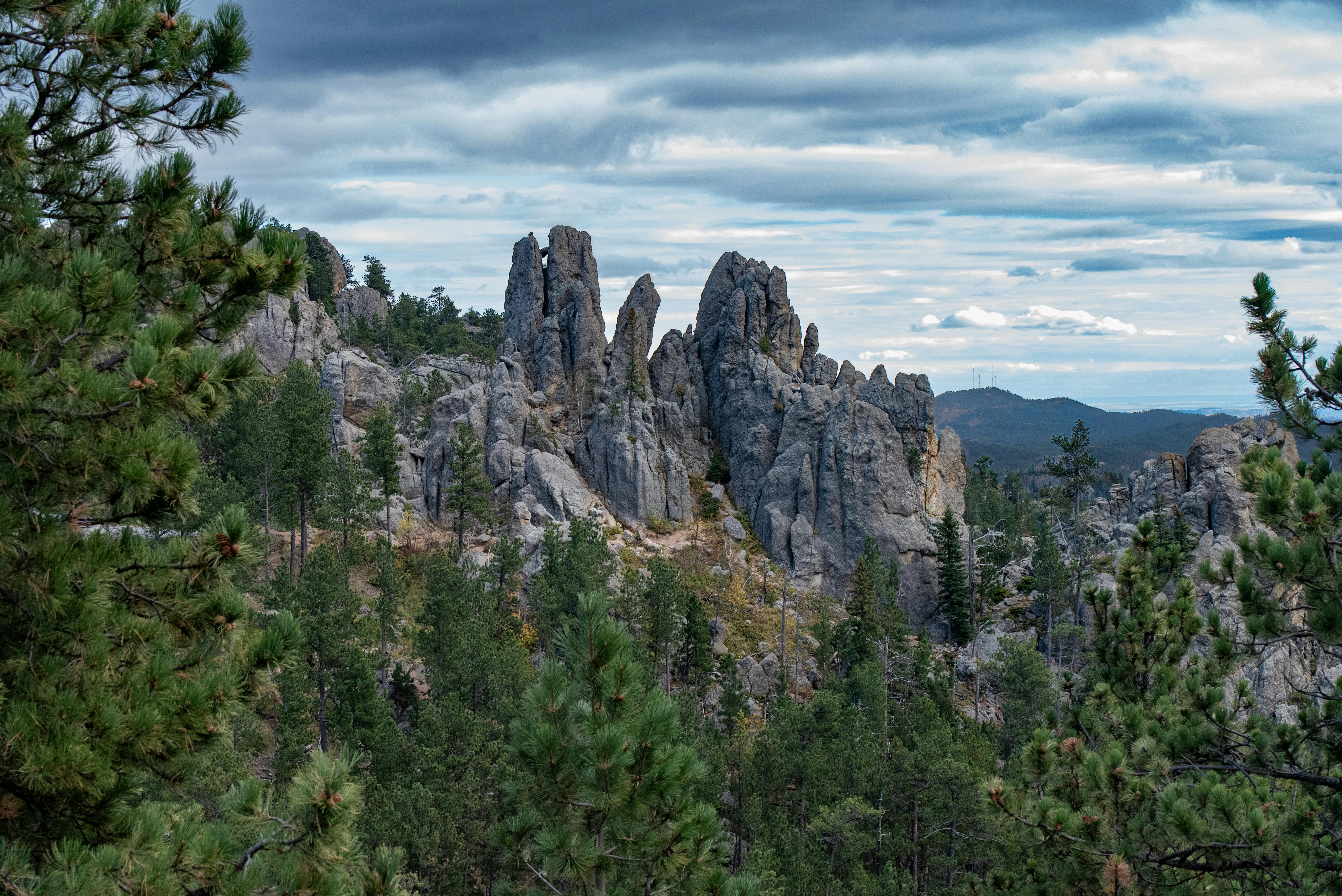 Paysage pittoresque Black Hills avec montagnes couvertes de pins et Mount Rushmore au loin