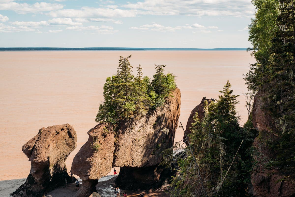 Vue pittoresque du Parc national Fundy avec baie et paysage côtier