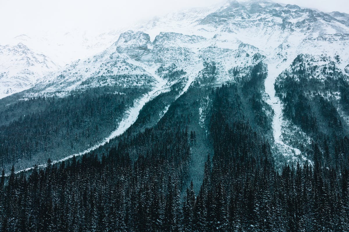 Sommets enneigés majestueux et forêts alpines dans le parc national des Glaciers, Colombie-Britannique