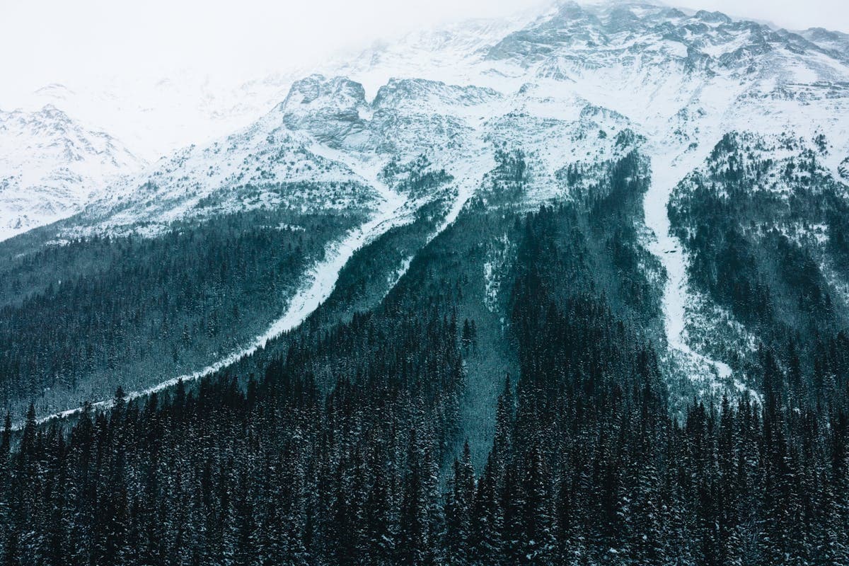 Sommets enneigés majestueux et forêts alpines dans le parc national des Glaciers, Colombie-Britannique