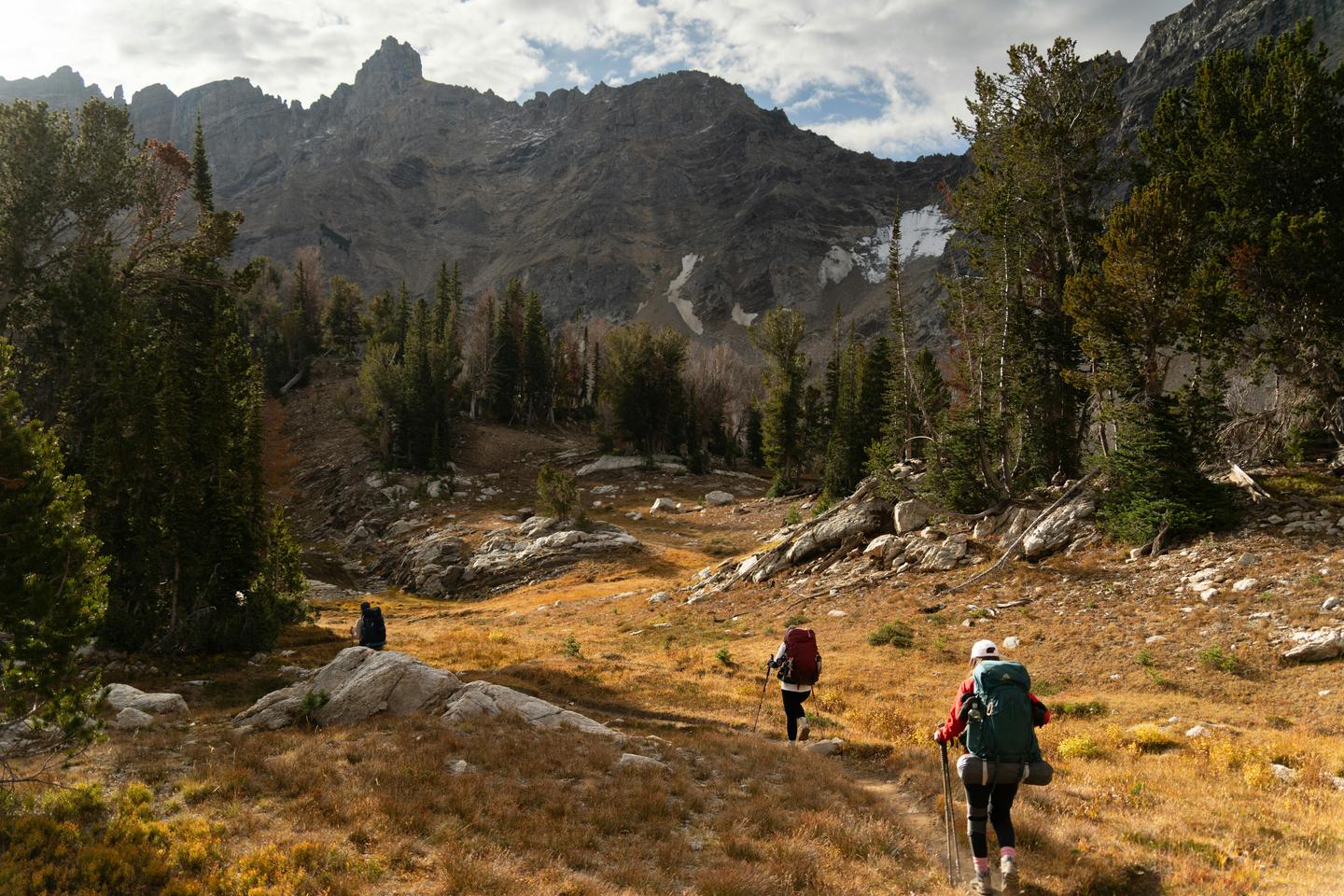 Grand Teton mountain peaks rising above alpine forest