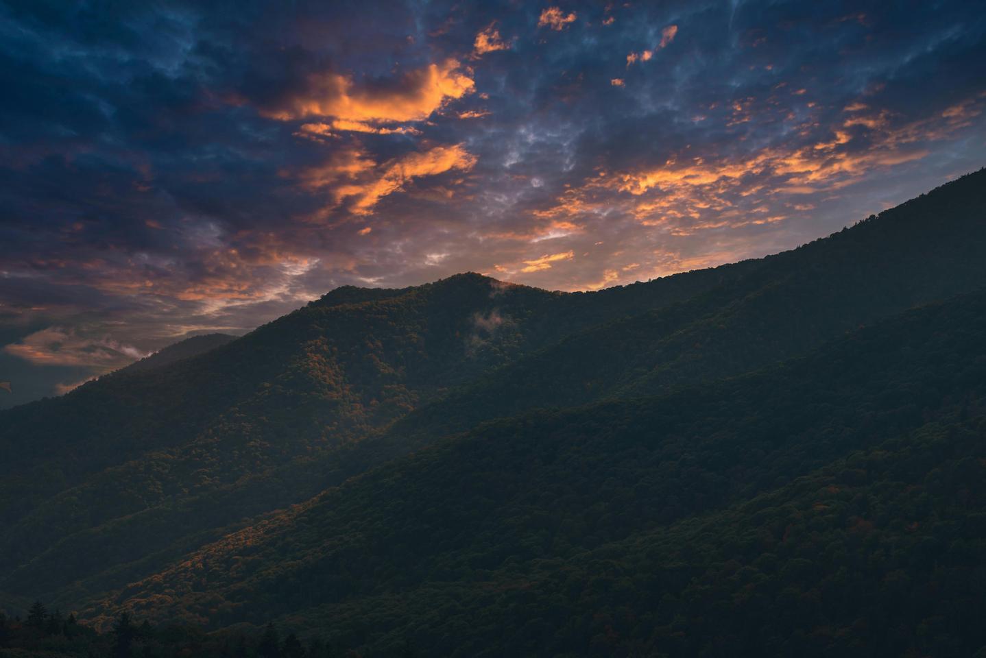Les majestueux sommets montagneux du Great Smoky Mountains National Park avec la brume matinale