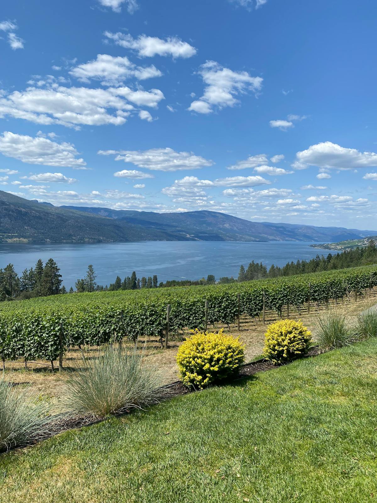 Camping VR près de Kelowna avec accès au lac Okanagan et à la région vinicole