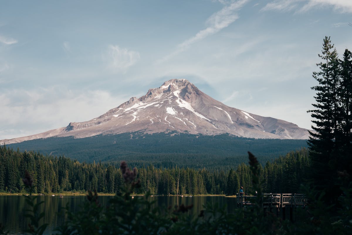 Découvrez les meilleurs terrains de camping VR près Portland avec branchements complets, service 50 ampères et accès pratique à la ville