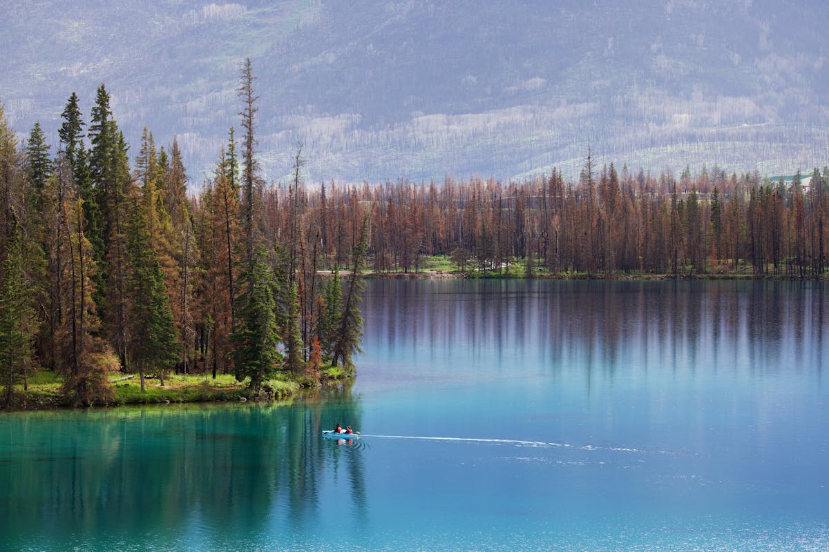 Lac sauvage immaculé entouré de dense forêt boréale au parc national de Prince Albert