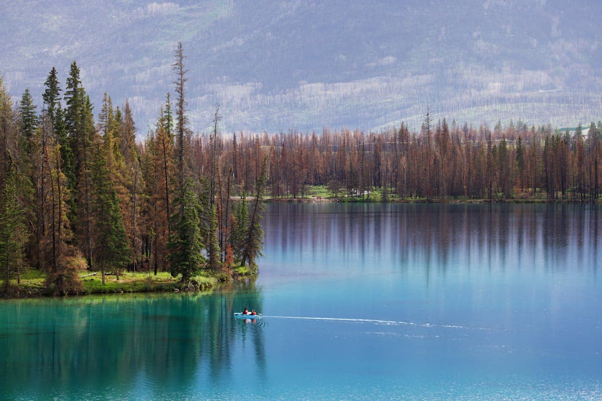Kayakers paddling on a pristine wilderness lake surrounded by dense boreal forest in northern Saskatchewan