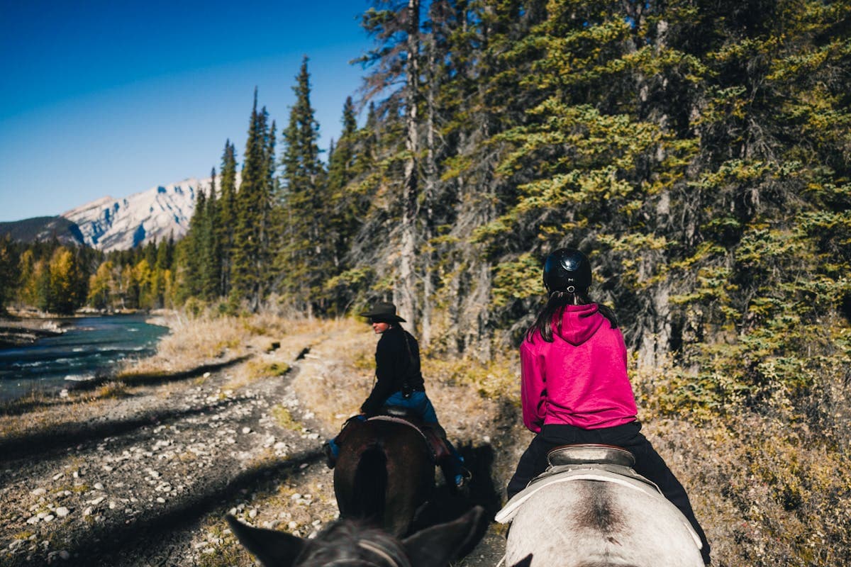 Vue panoramique de la nature sauvage du parc national Riding Mountain avec paysage forestier et prairie