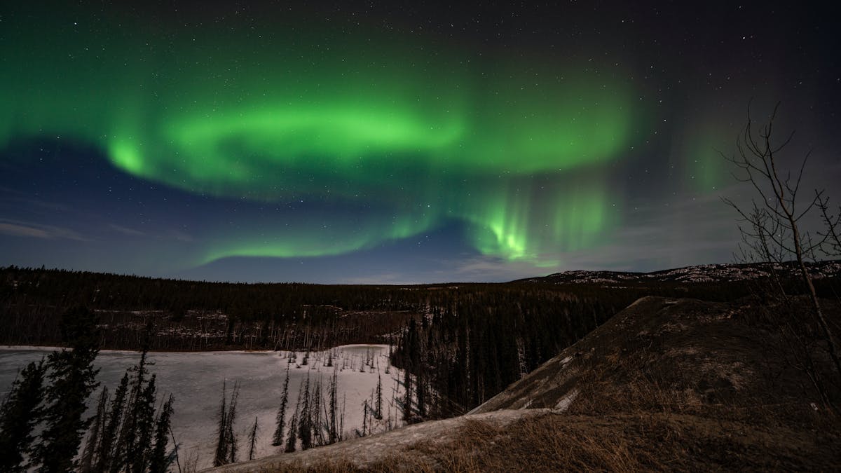 Aurores boréales dansant au-dessus de la nature sauvage près de Whitehorse, Yukon