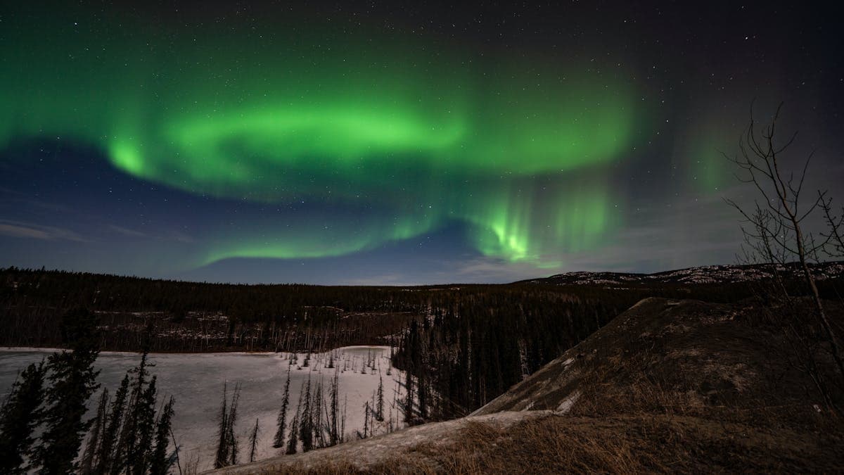 Aurores boréales dansant au-dessus de la nature sauvage près de Whitehorse, Yukon