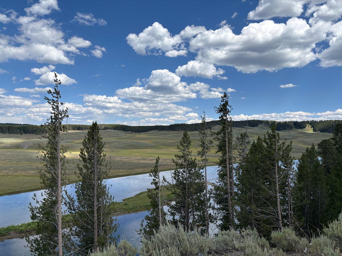 Paysage panoramique de West Yellowstone Montana avec rivière et forêts de pins près du parc national de Yellowstone