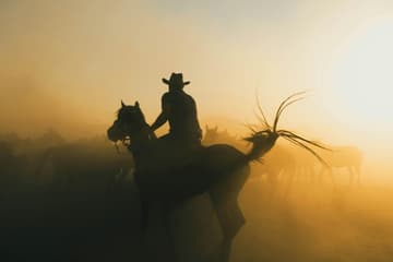 Western rodeo action and cowboy culture at the Calgary Stampede
