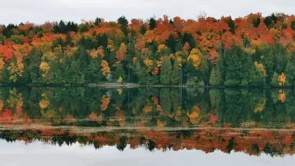 Algonquin Provincial Park Fall Colours