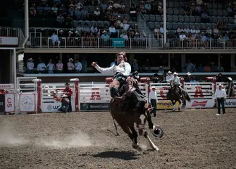 Calgary Stampede