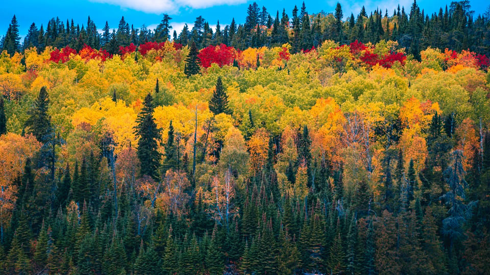 Seasonal experiences — RV travel and event planning on RVezy