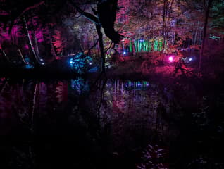 Electric Forest