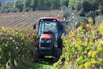 Okanagan Wine Festivals
