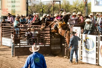 Ponoka Stampede