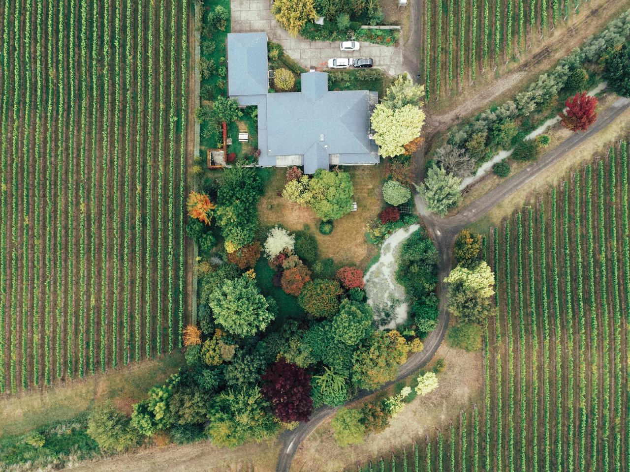 Aerial view of a frost-covered vineyard in Ontario's wine country during winter