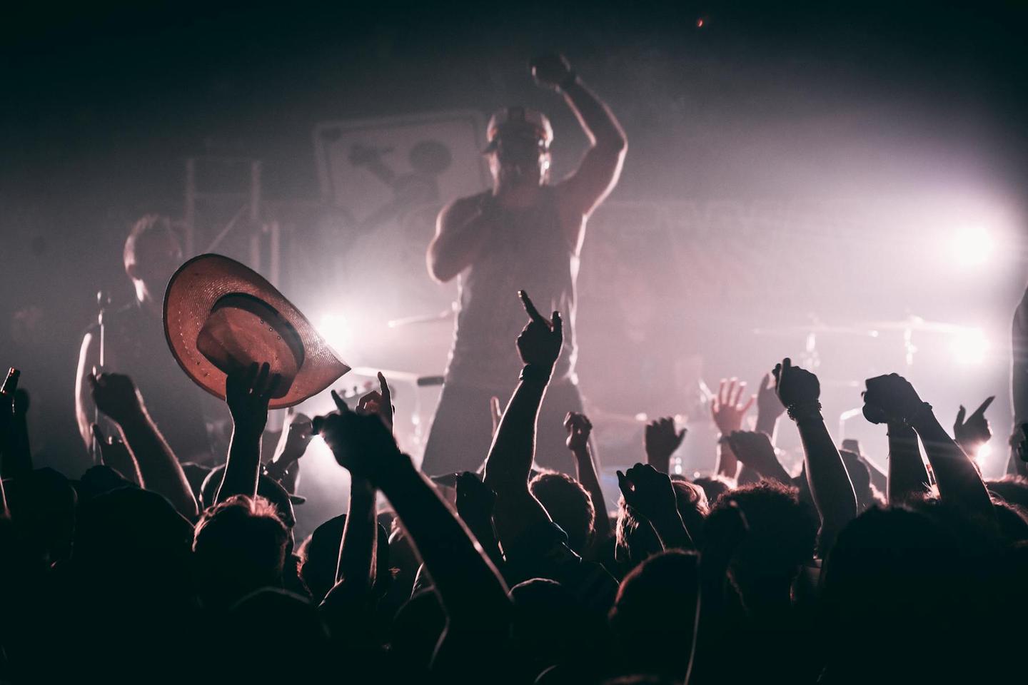 Energetic crowd enjoying a live music performance on stage at a festival