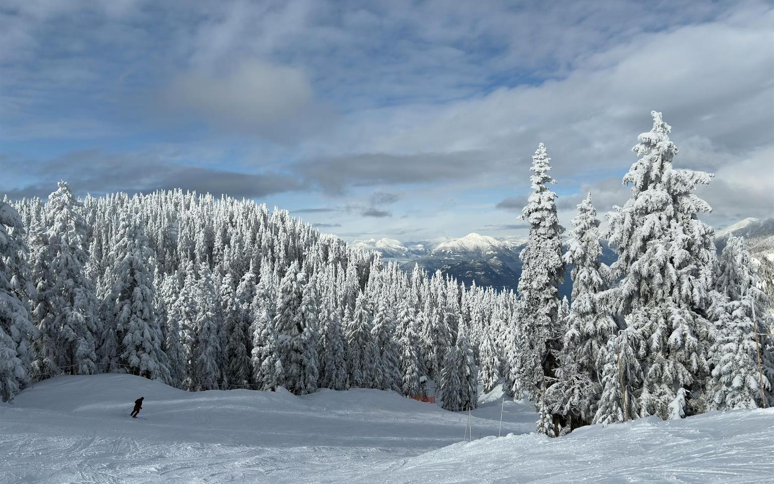 A skier descends a snowy slope surrounded by snow-covered trees at Whistler ski resort in British Columbia