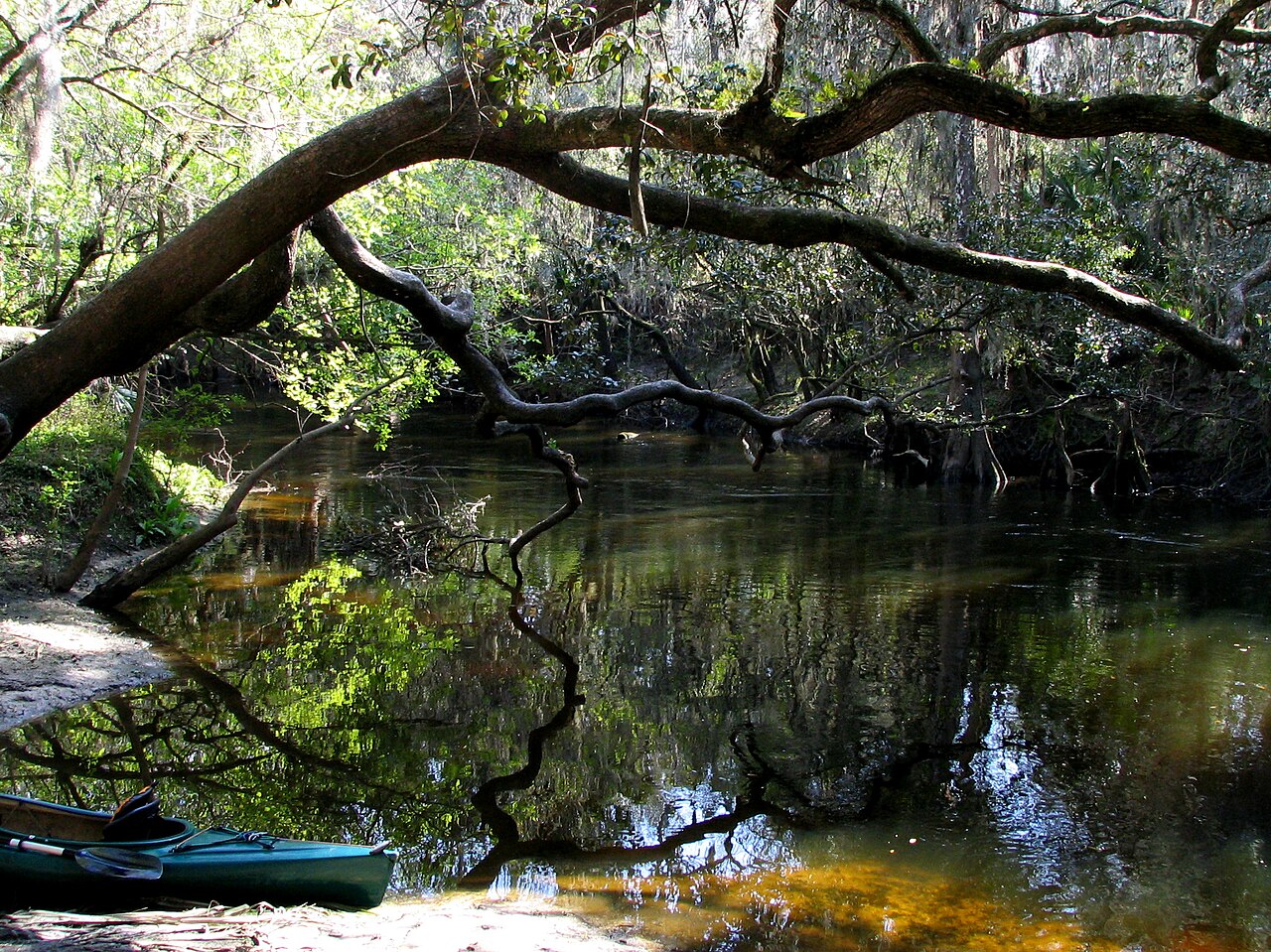 Alafia River State Park
