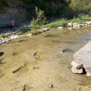 Albert & Bessie Kronkosky State Natural Area