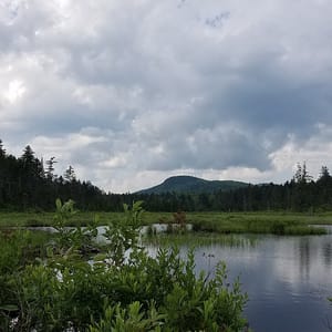 Amity Pond Natural Area