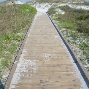 Anastasia State Park