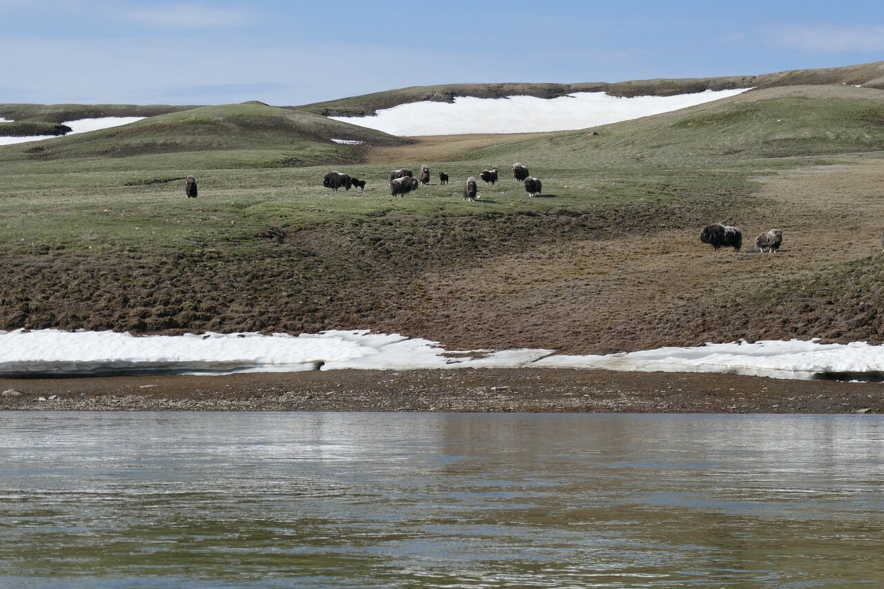 Aulavik National Park