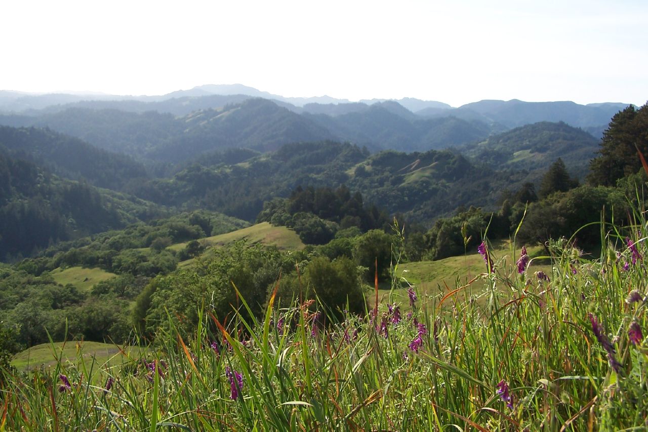 Austin Creek State Recreation Area