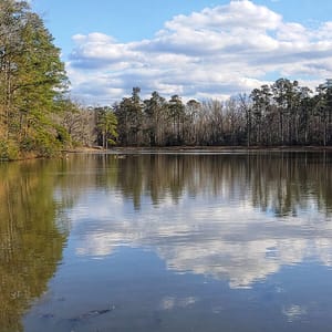 Barnwell State Park