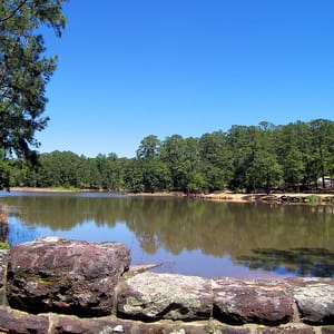 Bastrop State Park