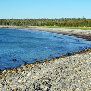 Bayswater Beach Provincial Park