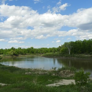 Beaudry Provincial Park