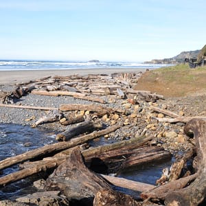 Beverly Beach State Park