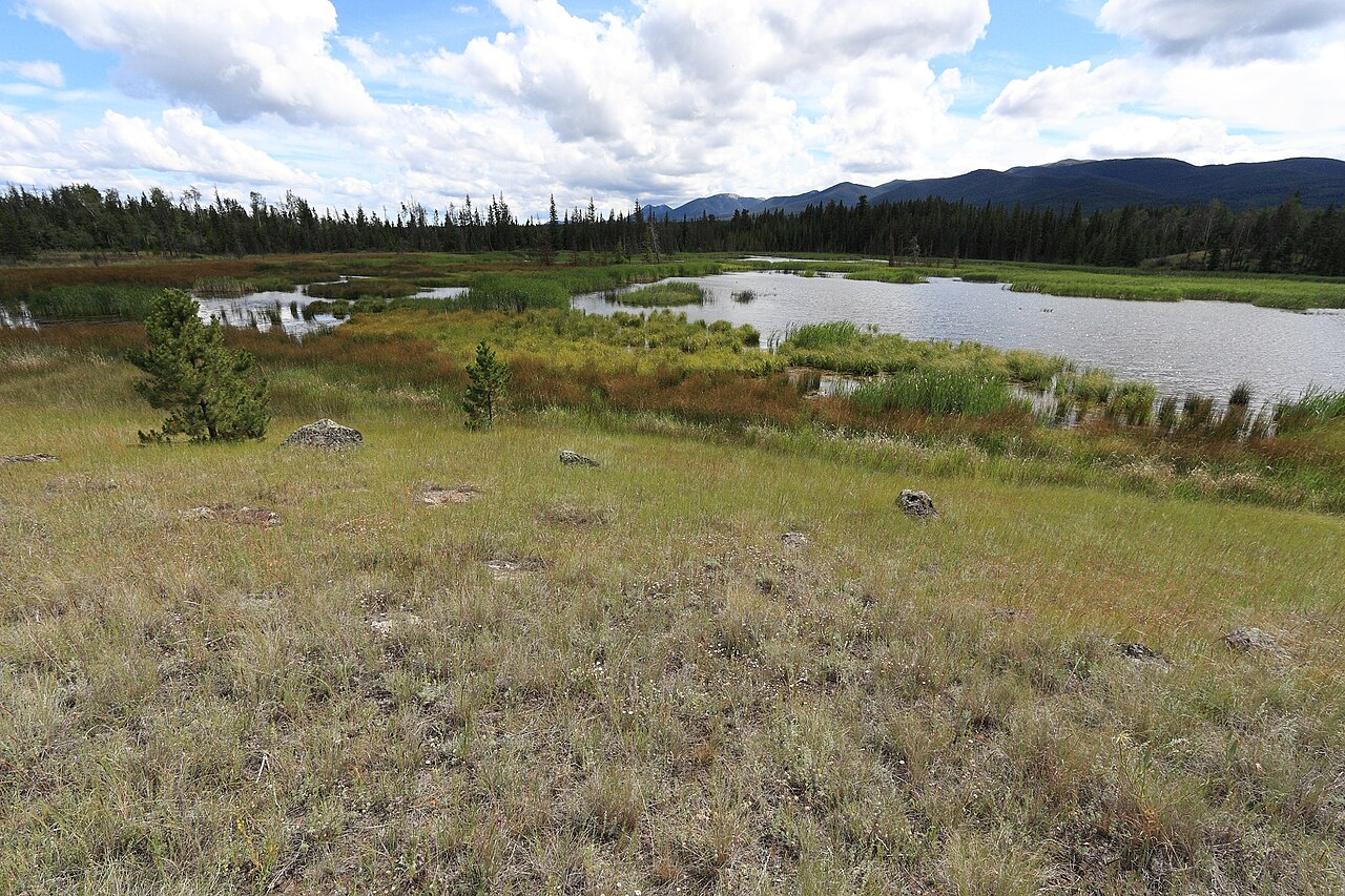 Big Bar Lake Provincial Park
