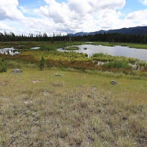 Big Bar Lake Provincial Park