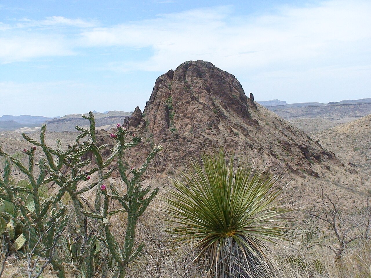 Big Bend Ranch State Park