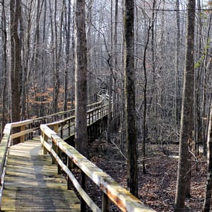 Big Hill Pond State Park