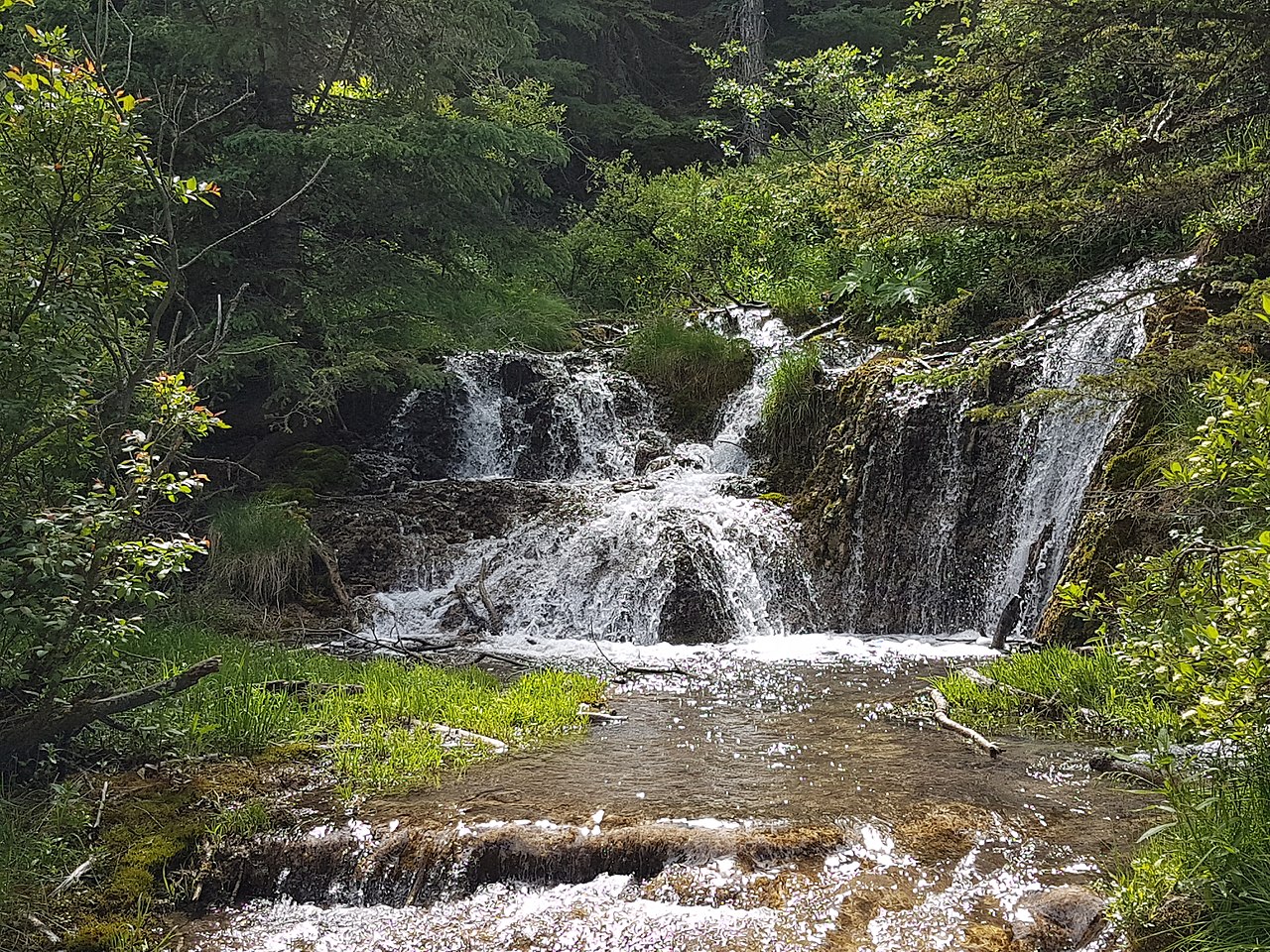 Big Hill Springs Provincial Park