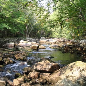 Black Duck Cove Provincial Park