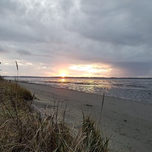 Bottle Beach State Park