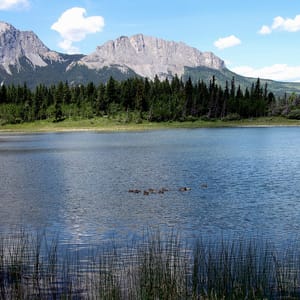 Bow Valley Provincial Park