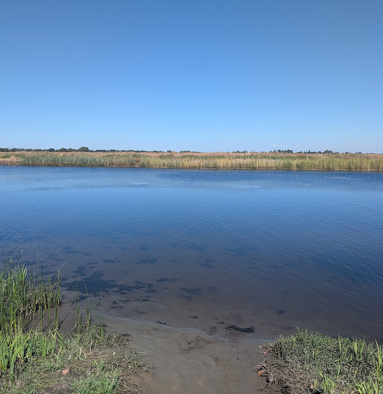 Brannan Island State Recreation Area