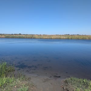 Brannan Island State Recreation Area
