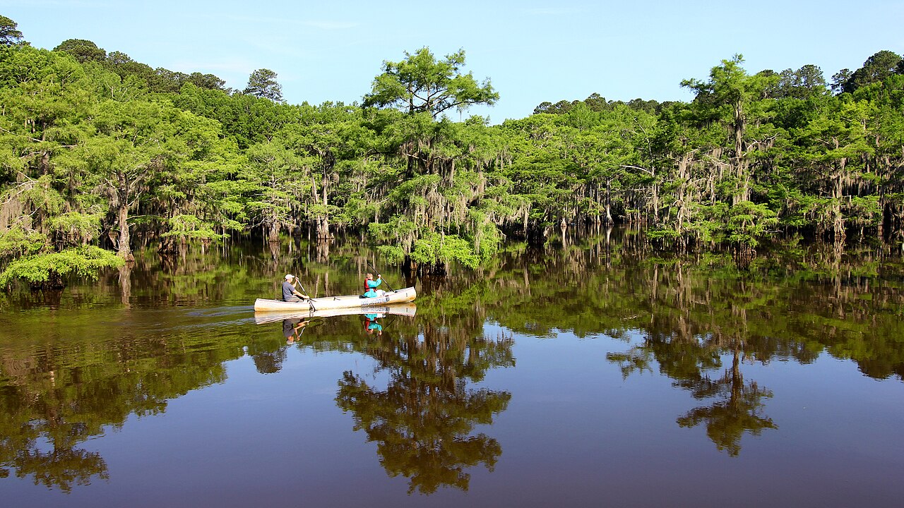 Caddo Lake State Park