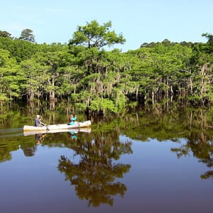 Caddo Lake State Park