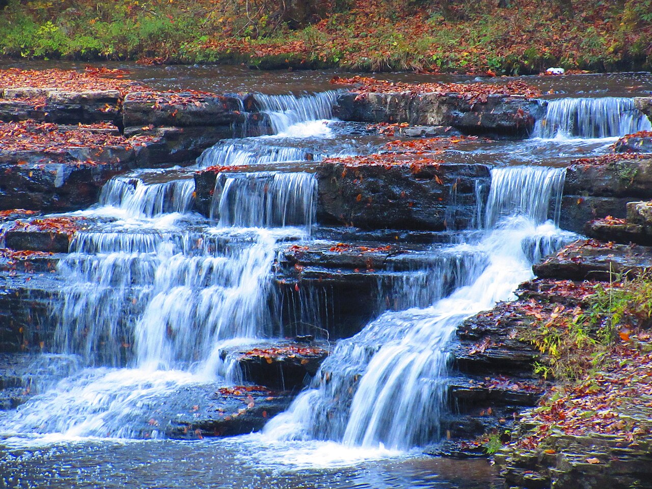 Camp Creek State Park