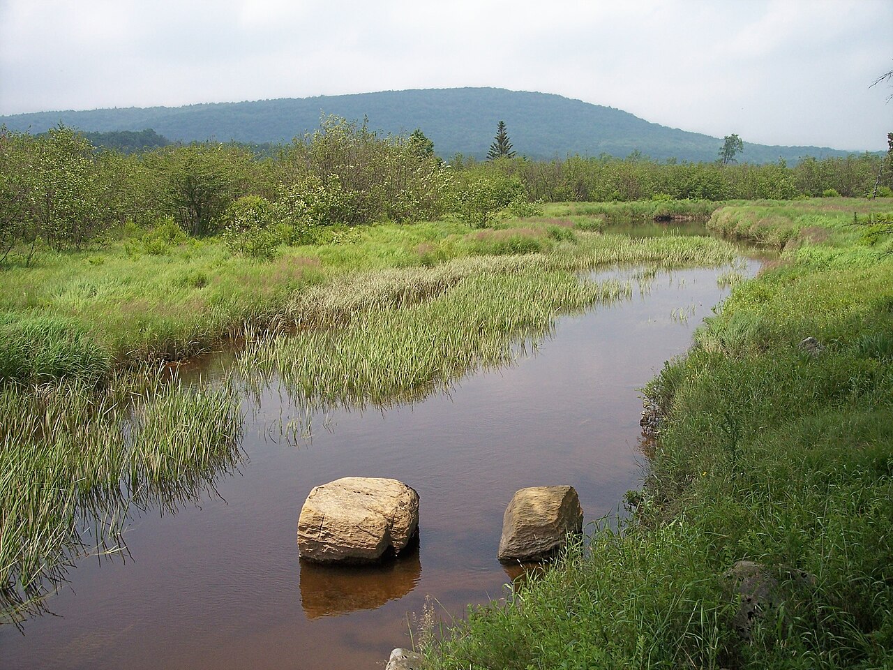 Canaan Valley Resort State Park