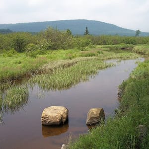 Canaan Valley Resort State Park